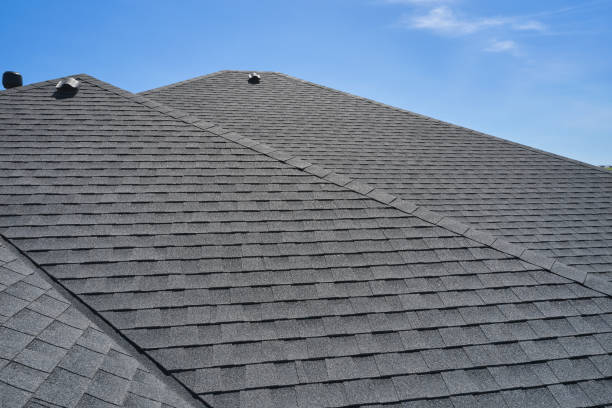 Best Roof Insulation Installation  in Cadott, WI